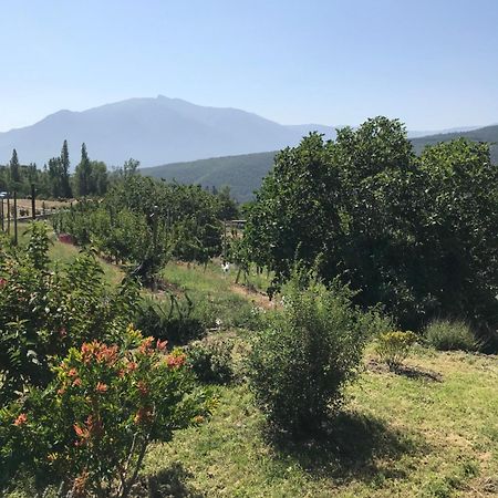 דירות Moltig les Bains Els Pirineus מראה חיצוני תמונה
