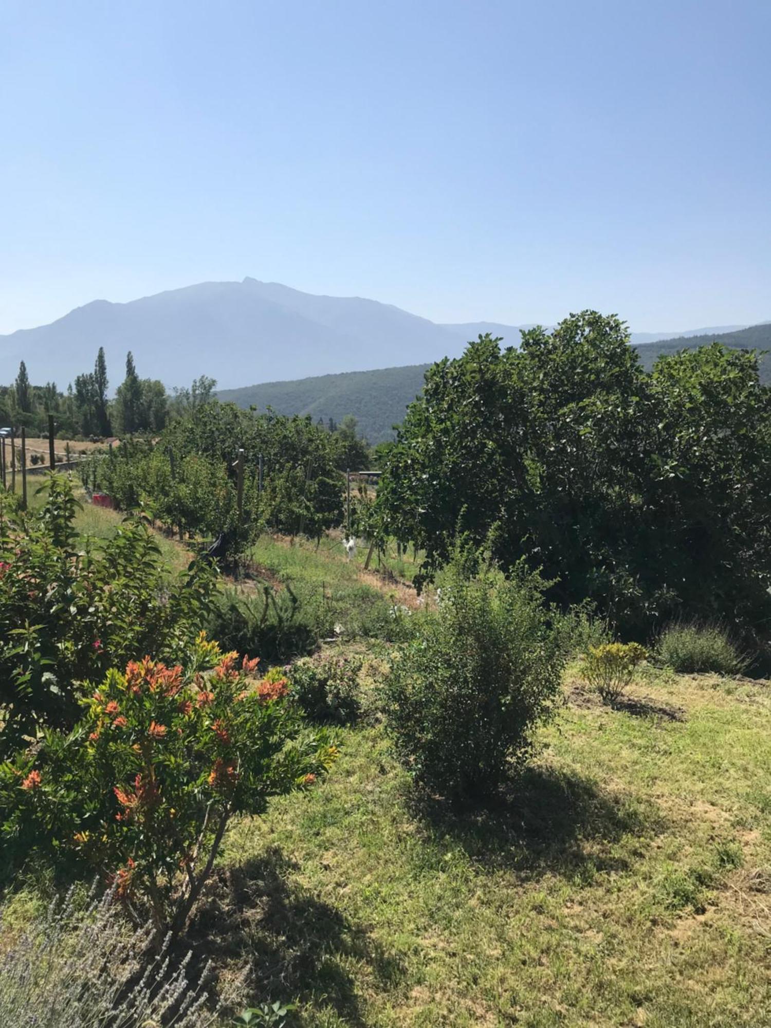 דירות Moltig les Bains Els Pirineus מראה חיצוני תמונה